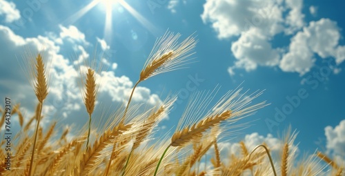 The Golden Hues of a Wheat Field Under a Summer Sun, Symbolizing Abundance and Agricultural Bounty, Generative AI