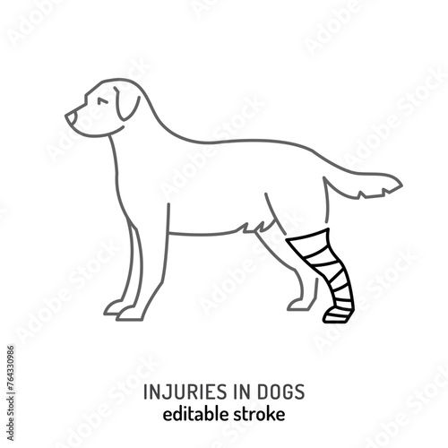 Injuries in dogs. Leg trauma icon, pictogram, symbol.
