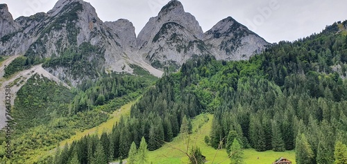 las u podnóża wysokich górskich szczytów © PhonePhotoBlog