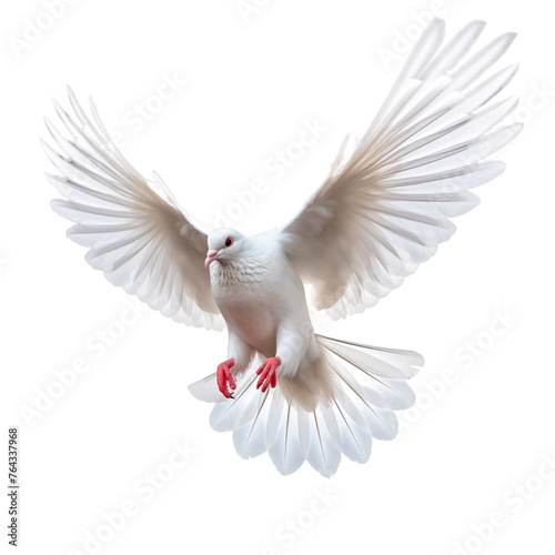 dove flying on isolated background photo