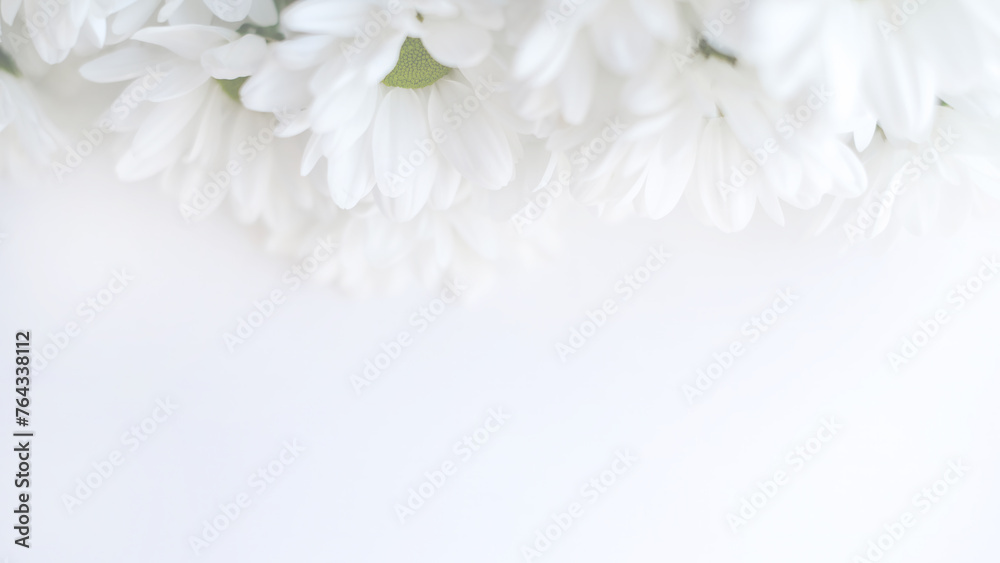Elegant cluster of white florets with yellow centers on a clean white backdrop Elegant cluster of white florets with yellow centers on a clean white backdrop