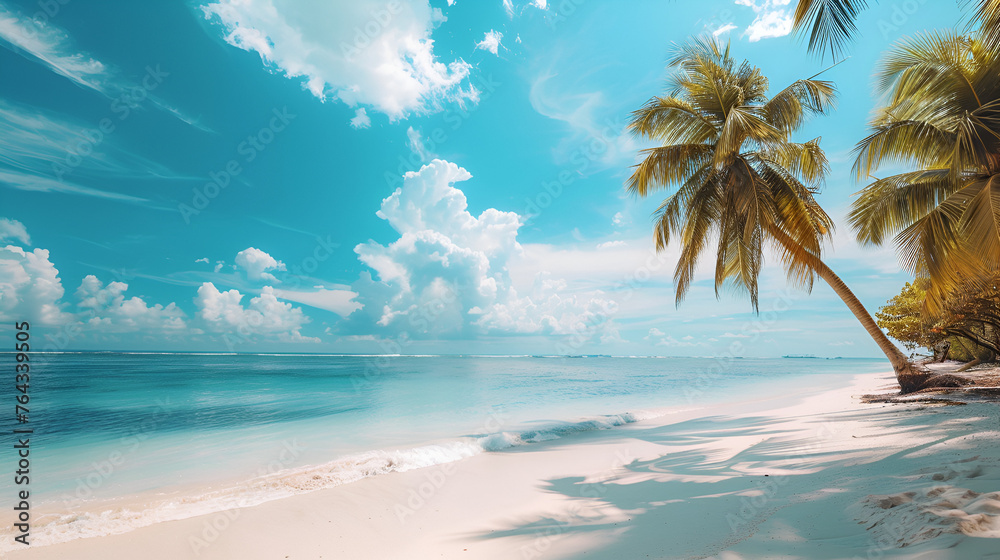 beautiful tropical beach banner. White sand and coco