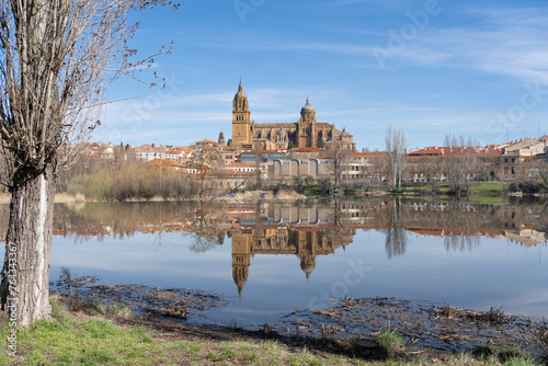 Paisaje de la Ciudad de Salamanca España con sus catedrales y su río Tormes.