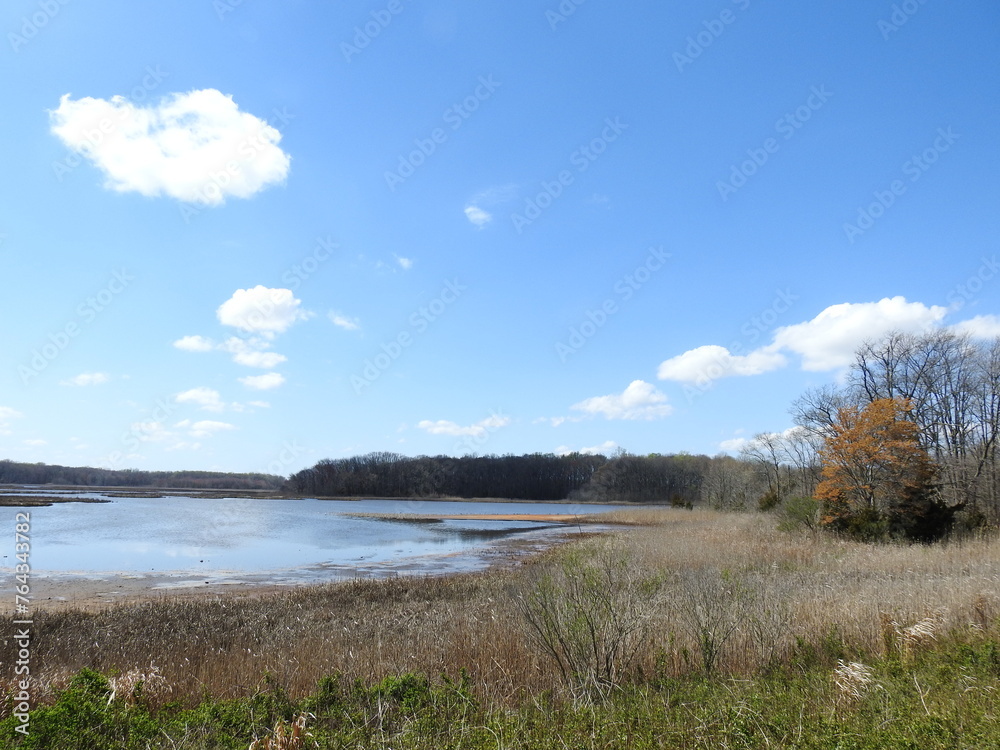 The scenic beauty of the wetlands within the Bombay Hook National Wildlife Refuge, during the spring season. The scenic beauty of the wetlands within the Bombay Hook National Wildlife Refuge, during the spring season.