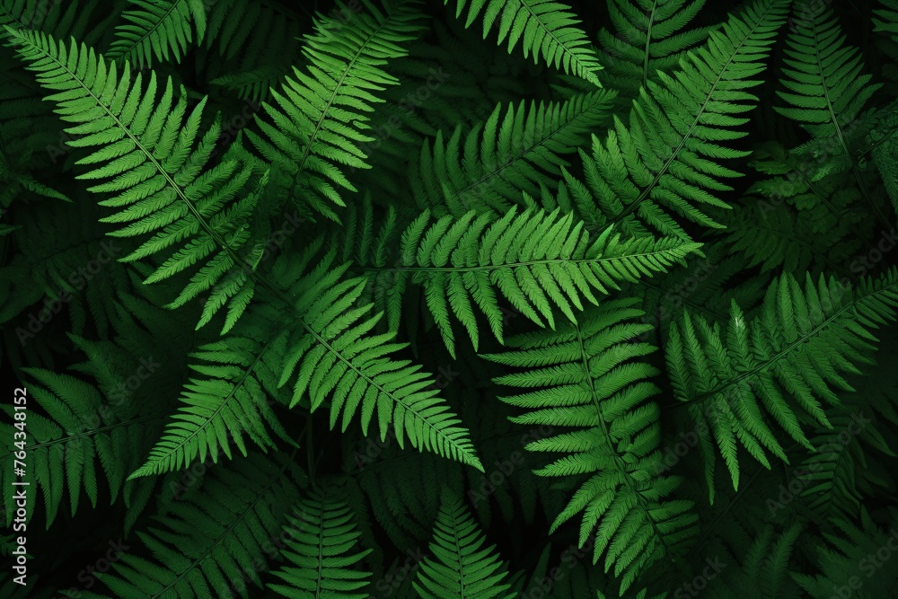 Green Fern leaves background, Fern leaves Wallpaper, Green Fern Leaf Wallpaper, AI Generative