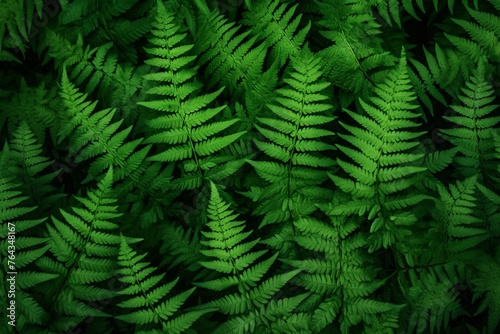 Green Fern leaves background, Fern leaves Wallpaper, Green Fern Leaf Wallpaper, AI Generative