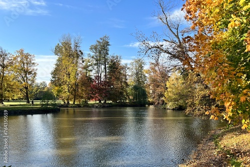bank of small pond in autumn park