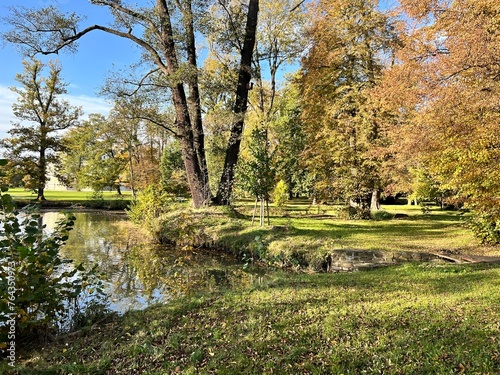 bank of small pond in autumn park