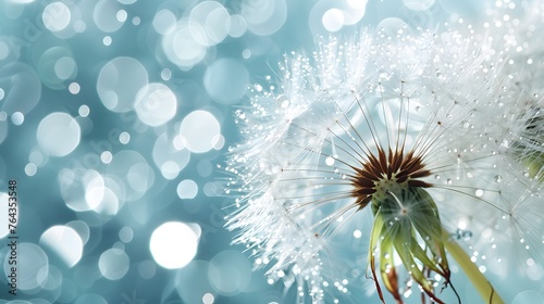 flower fluff  dandelion seeds with dew dop - beautiful macro photography with abstract bokeh background 