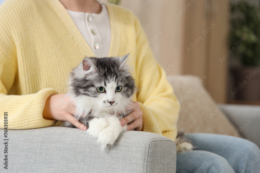 Owner with cute cat after sterilization at home Owner with cute cat after sterilization at home