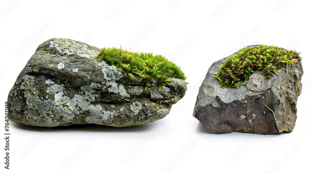 moss-covered rocks isolated on white background, with full depth of field and deep focus fusion moss-covered rocks isolated on white background, with full depth of field and deep focus fusion