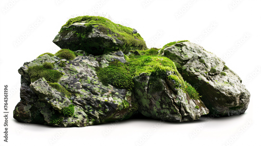 moss-covered rocks isolated on white background, with full depth of field and deep focus fusion moss-covered rocks isolated on white background, with full depth of field and deep focus fusion