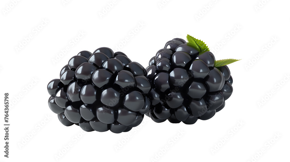 blackberry isolated on a white background closeup. blackberry isolated on a white background closeup.