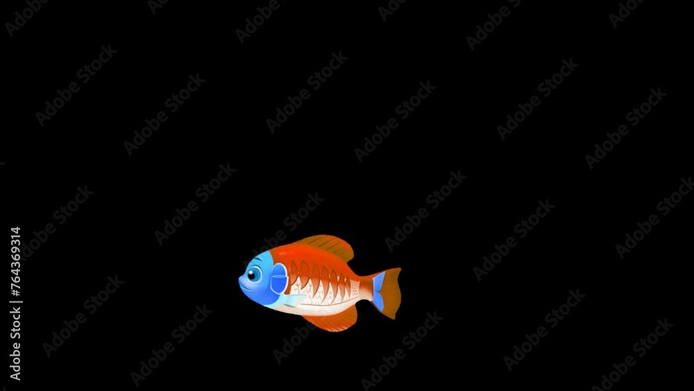 A looped animated video displays fish gracefully swimming against a transparent PNG background A looped animated video displays fish gracefully swimming against a transparent PNG background