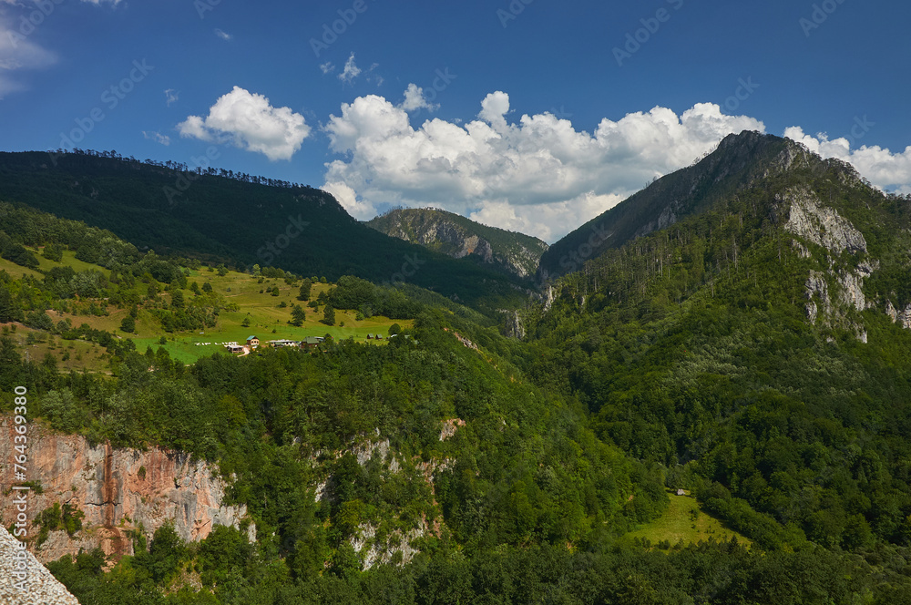 Montenegro. Canyon and Tara river. Mountains and forests on the slopes of the mountains.