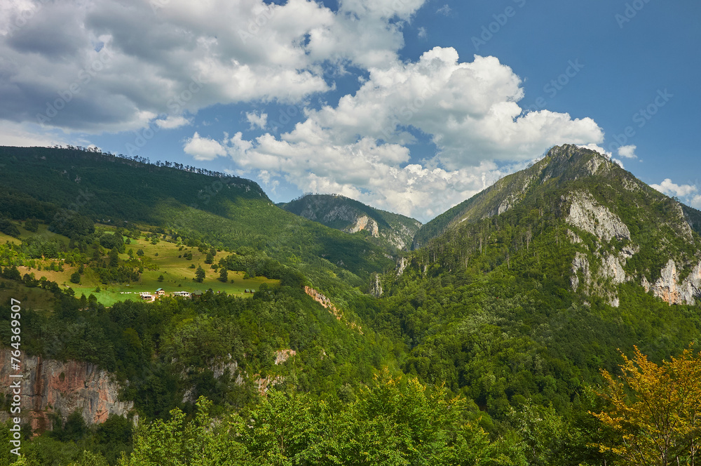 Montenegro. Canyon and Tara river. Mountains and forests on the slopes of the mountains. Djurdjevica bridge over the river Tara in Montenegro, Europe.