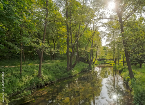 Malownicza malutka rzeka przepływająca przez wiosenny park w mglisty i słoneczny dzień. Wiosenne popołudnie w maju, w lekko mglisty dzień, wśród pięknej przyrody świętokrzyskiej.