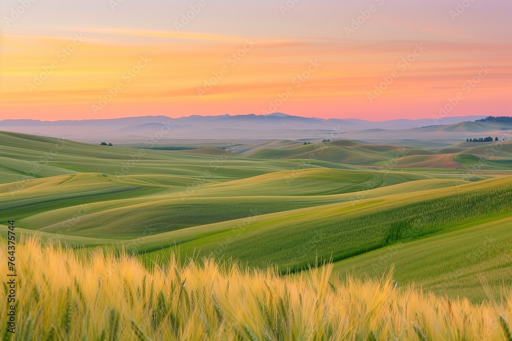 Sustainable Harmony: Earth Day View of Wheat Fields Merging with the Horizon, Promoting Eco Awareness, with copy space for text Sustainable Harmony: Earth Day View of Wheat Fields Merging with the Horizon, Promoting Eco Awareness, with copy space for text