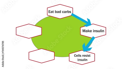 Insulin resistance diagram. 4k video animation. photo