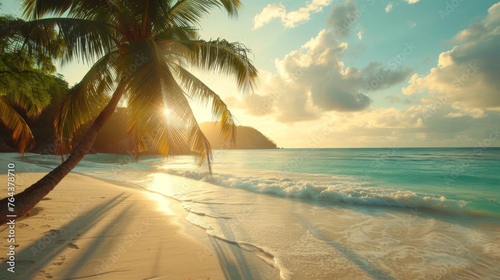 Fototapeta premium summer background