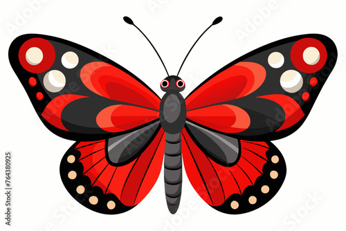 red admiral vector illustration