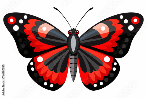 red admiral vector illustration