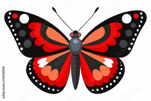 red admiral vector illustration
