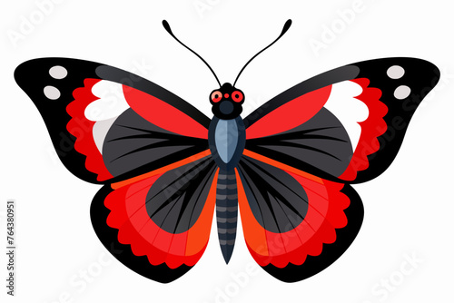 red admiral vector illustration