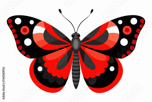 red admiral vector illustration
