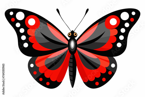 red admiral vector illustration