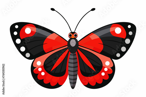 red admiral vector illustration