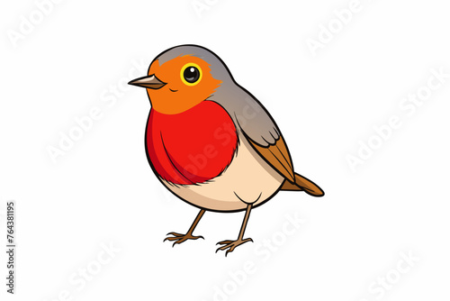 robin bird vector illustration