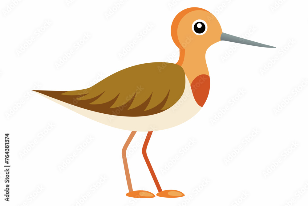 sandplper bird vector illustration sandplper bird vector illustration