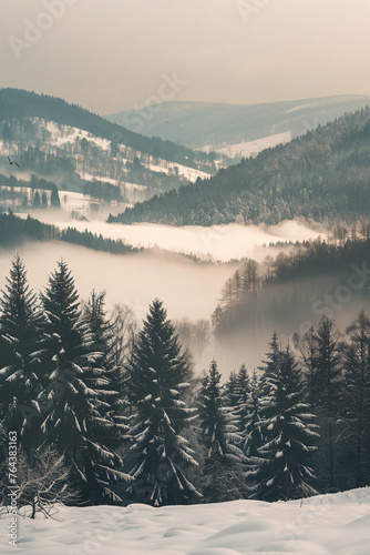 Abstract winter landscape with snowcovered trees and fog in the valley, grainy film filter, vintage style, dark green black brown palette, minimalistic, blurred background