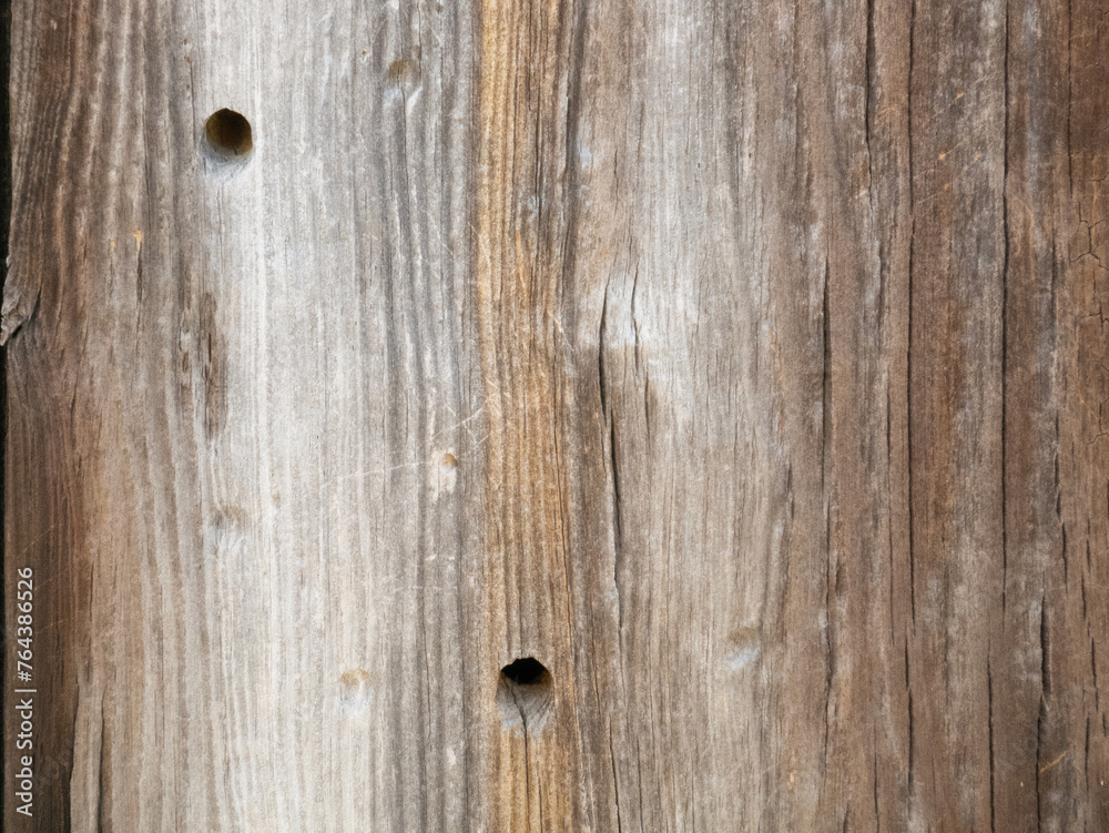 Obraz premium Old Aged Wooden Door