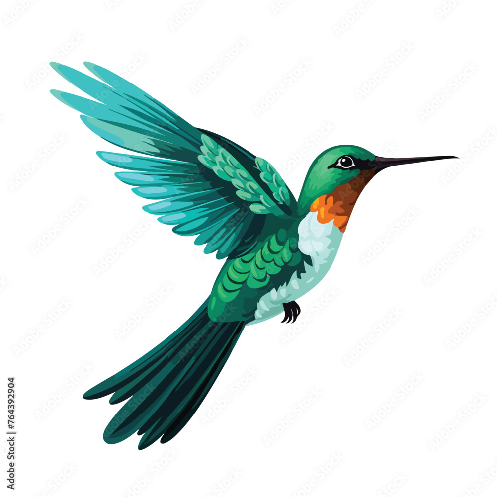 Beautiful wild birds hummingbird icon cartoon vecto