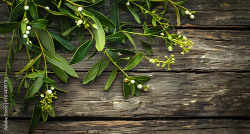 midothian mistletoe on an old wood background  high resolution photography  insanely detailed and intricate  sharp focus  HDR  8k  top view. The image is in the style of a photograph