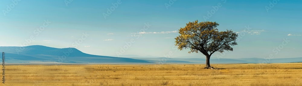 A lone tree standing resilient in a vast open landscape A lone tree standing resilient in a vast open landscape