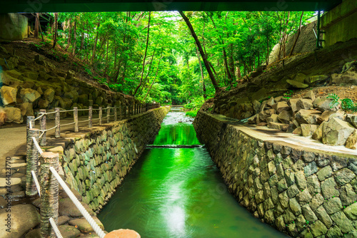 Photography 等々力渓谷公園の美しい新緑【東京都・世田谷区】　
Beautiful fresh greenery spreading in Todoroki Valley -