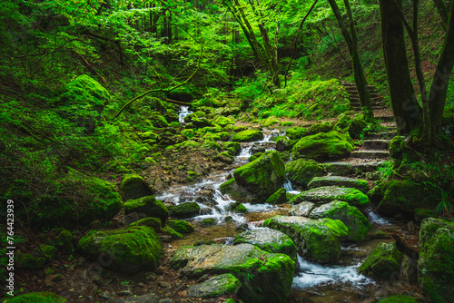 東京の大自然、新緑が美しい御岳山のロックガーデン【東京都・青梅市】　
Tokyo's wilderness. The rock garden of Mt. Mitake with its beautiful fresh greenery - Japan