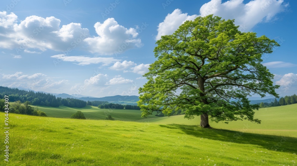 Obraz premium summer background