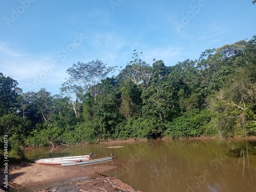 La canao en su primer viaje a la selva virgen photo