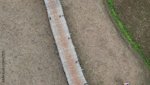Top view of the bamboo bridge to the village. Passing through the middle of rice fields is a beautiful natural place. Located in Phrae Province, Thailand.