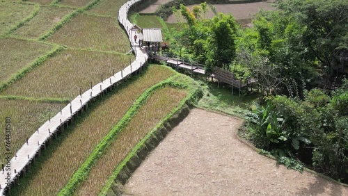 Top view of the bamboo bridge to the village. Passing through the middle of rice fields is a beautiful natural place. Located in Phrae Province, Thailand.