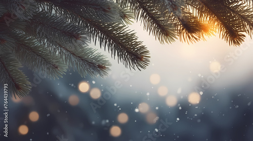 Close-up of Christmas pine branches under defocused lights