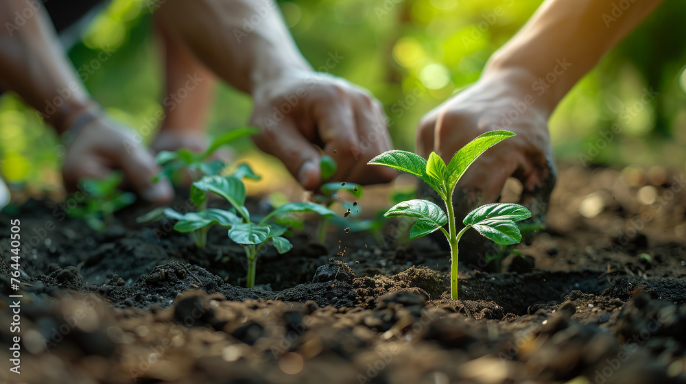Men Are Planting Trees and Watering Them to Help Increase Oxygen in the Air and Reduce Global Warming, Save World Save Life and Plant a Tree, Ai Generated Image Men Are Planting Trees and Watering Them to Help Increase Oxygen in the Air and Reduce Global Warming, Save World Save Life and Plant a Tree, Ai Generated Image