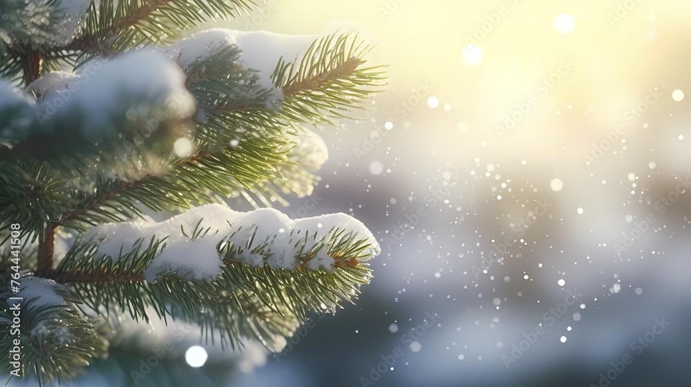 Christmas pine branches and holiday bokeh lights Christmas pine branches and holiday bokeh lights