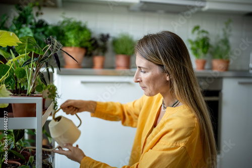 Woman plant lover taking care houseplants watering home garden living in flat. Blonde female gardener caring pouring houseplants in pots with water. Gardening, planting hobby, leisure for rest relax. 