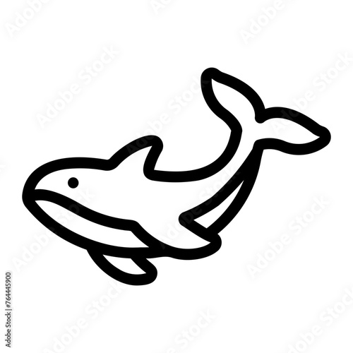 killer whale