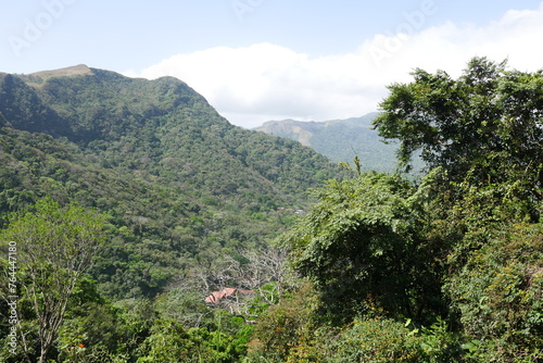 Tropischer Regenwald in El Valle de Antón in Panama